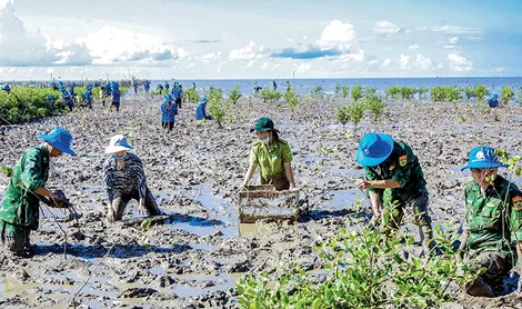 Trồng cây xanh bảo vệ môi trường, thích ứng biến đổi khí hậu