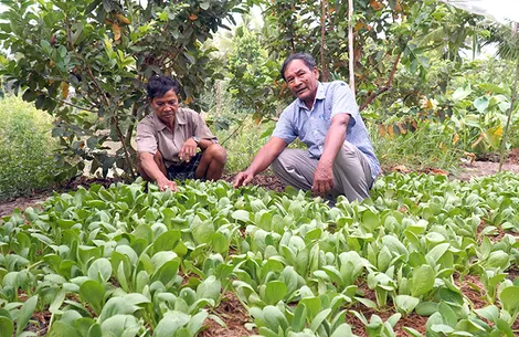 Tận tâm lo việc của dân