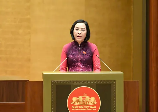 Báo cáo kết quả xác nhận 500 người trúng cử đủ tư cách đại biểu Quốc hội khóa XVI