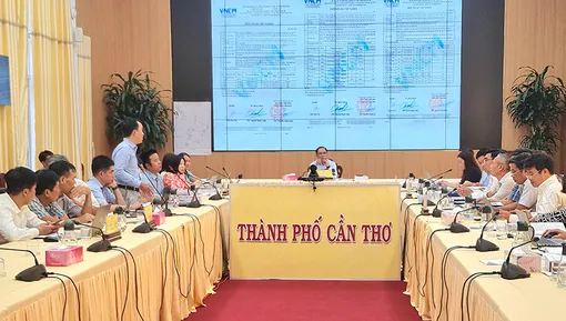 Nhận dạng, đánh giá và xử lý tốt tác động môi trường Dự án Chống chịu khí hậu và chuyển đổi tổng hợp vùng ĐBSCL