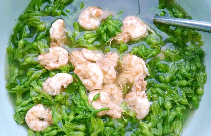 របៀប​ស្ល​សម្ល​ផ្កា​ចុង​អង្ករ​ជា​មួយ​បង្គា​បំ​បាត់​កម្តៅ​ក្នុង​ខ្លួន​រដូវ​ក្តៅ