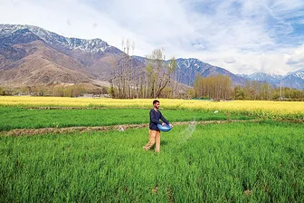 Nguy cơ bất ổn an ninh lương thực toàn cầu