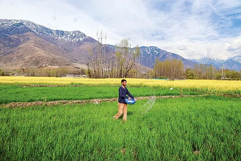 Nguy cơ bất ổn an ninh lương thực toàn cầu