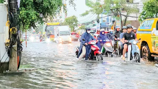 Tăng cường hợp tác quốc tế về thích ứng biến đổi khí hậu, phát triển kinh tế bền vững