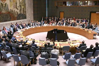 Hội đồng Bảo an LHQ không thông qua nghị quyết về an ninh eo biển Hormuz