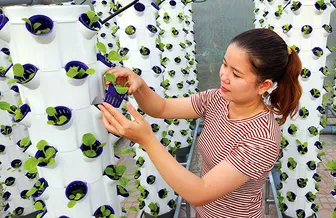 TP Cần Thơ ban hành danh mục nhu cầu công nghệ giai đoạn 2026-2030