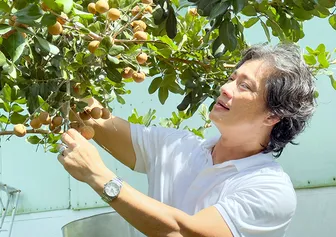 Phát triển vườn cây ăn trái theo quy hoạch, liên kết chuỗi giá trị