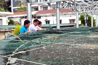 AI - “Chìa khóa” phát triển nông nghiệp hiện đại, bền vững