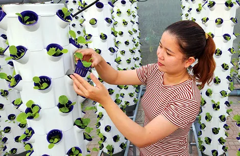 TP Cần Thơ ban hành danh mục nhu cầu công nghệ giai đoạn 2026-2030