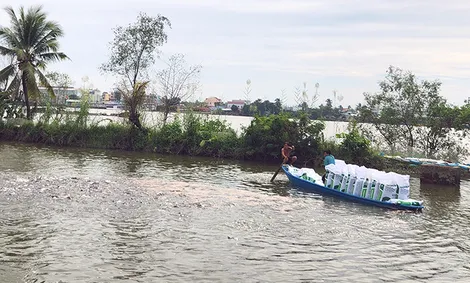 Tổng sản lượng thủy sản nuôi và khai thác hơn 104.540 tấn