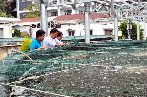 AI - “Chìa khóa” phát triển nông nghiệp hiện đại, bền vững