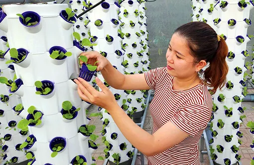 TP Cần Thơ ban hành danh mục nhu cầu công nghệ giai đoạn 2026-2030