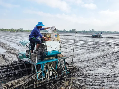 Giải pháp giúp nông dân nâng cao hiệu quả sản xuất lúa