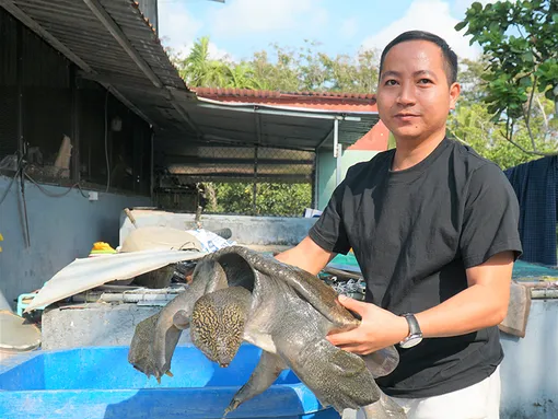 Khởi nghiệp thành công với mô hình nuôi cua đinh