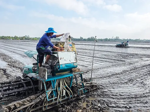 Giải pháp giúp nông dân nâng cao hiệu quả sản xuất lúa