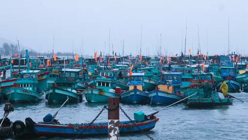 Phối hợp triển khai Cuộc thi và Triển lãm ảnh nghệ thuật cấp quốc gia “Tự hào một dải biên cương”