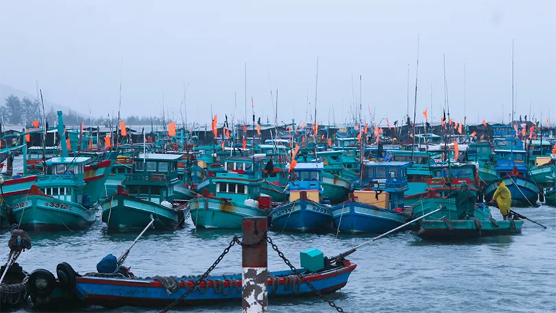 Phối hợp triển khai Cuộc thi và Triển lãm ảnh nghệ thuật cấp quốc gia “Tự hào một dải biên cương”