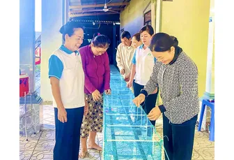 Hỗ trợ phụ nữ phát triển kinh tế, đảm bảo an sinh xã hội