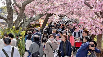 Nhật tăng gấp 3 lần thuế du lịch để ngăn quá tải du khách