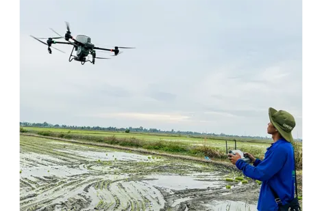 Dựng xây một Mekong Delta xanh - Chung khát vọng, cùng hành động