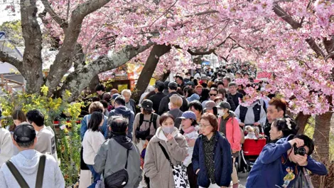 Nhật tăng gấp 3 lần thuế du lịch để ngăn quá tải du khách