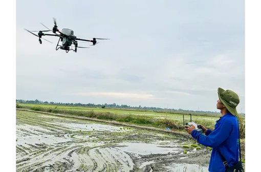 Dựng xây một Mekong Delta xanh - Chung khát vọng, cùng hành động