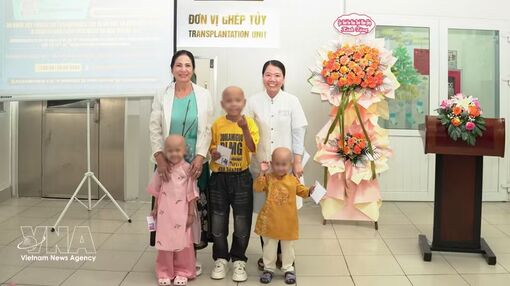 Hue hospital performs successful bone marrow transplants for three children