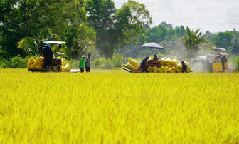 ផ្តើម​ពី​សេចក្តី​សម្រេច​ចិត្ត រហូត​ដល់​ការ​វិវឌ្ឍន៍​ក្នុង​ជីវ​ភាព​របស់​ជន​រួម​ជាតិ​ខ្មែរ​