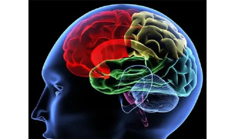 Phương pháp phẫu thuật mới hỗ trợ điều trị bệnh Alzheimer