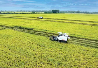 Dựng xây một Mekong Delta xanh - Chung khát vọng, cùng hành động<br>Bài cuối: Xoay trục phát triển, bứt phá tương lai