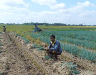 ចាក​ផុត​ពី​ភាព​ក្រី​ក្រ អា​ស្រ័យ​ប្រ​ភព​ទុន​គោល​នយោ​បាយ