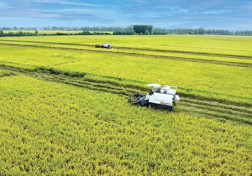 Dựng xây một Mekong Delta xanh - Chung khát vọng, cùng hành động<br>Bài cuối: Xoay trục phát triển, bứt phá tương lai