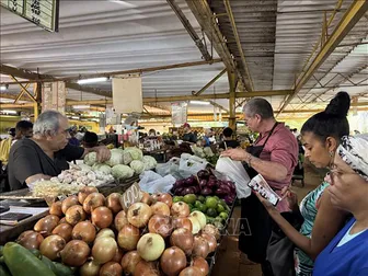Cuba mở cửa thương mại nông sản cho khu vực tư nhân
