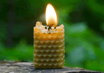 ៥ ចំ​ណុច​ងាយៗ​ដើម្បី​បន្សុទ្ធ​ខ្យល់​ក្នុង​ផ្ទះ