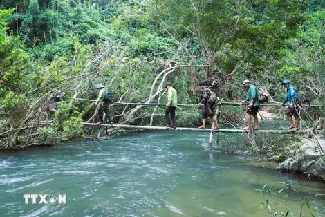 Khám phá vẻ hoang sơ của thác Cành Lình giữa đại ngàn miền Tây Nghệ An