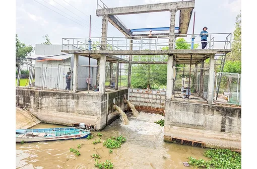 Tiết giảm chi phí để vụ lúa hè thu đạt hiệu quả