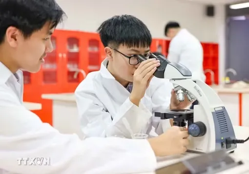 Nghiên cứu sinh được "đặt hàng" làm chủ công nghệ lõi, mức hỗ trợ tối đa 1 tỷ đồng/năm