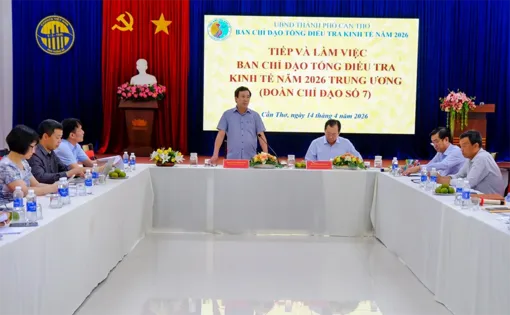 Đảm bảo tiến độ và chất lượng Tổng điều tra kinh tế năm 2026