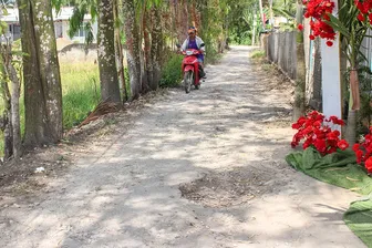 Tuyến lộ đal ấp 4, xã Tân Thạnh xuống cấp nghiêm trọng, cần được nâng cấp