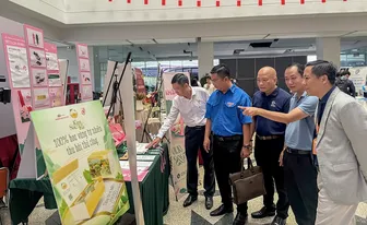 Cơ sở giáo dục đại học có trách nhiệm xây dựng và phát triển hệ sinh thái đổi mới sáng tạo