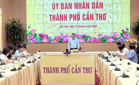 Tìm giải pháp hỗ trợ doanh nghiệp, người dân tháo gỡ khó khăn trong sản xuất, kinh doanh lúa gạo