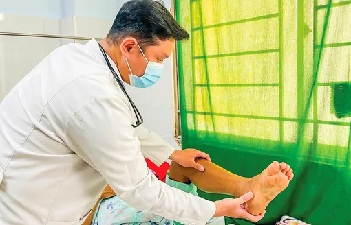 Phòng ngừa nguy cơ và cách xử lý khi bị rắn cắn