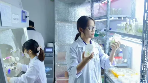 Chuẩn hóa tổ chức, hoạt động Quỹ khoa học, công nghệ và đổi mới sáng tạo từ Trung ương đến địa phương