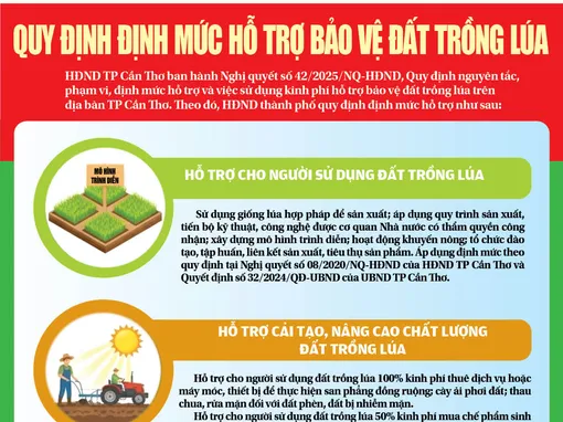 [INFOGRAPHICS] Quy định định mức hỗ trợ bảo vệ đất trồng lúa