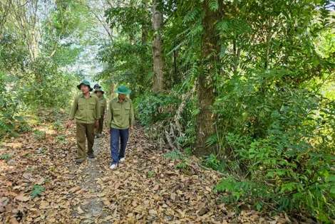 Cần Thơ nâng cấp dự báo cháy rừng và tăng cường công tác phòng cháy, chữa cháy rừng