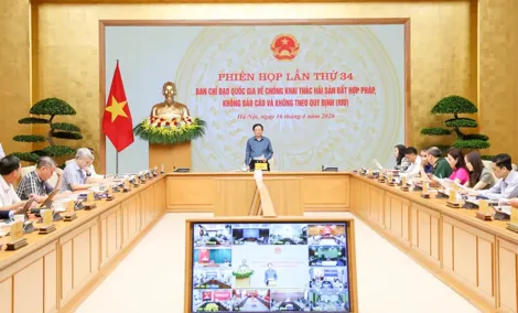 Tập trung khắc phục triệt để các khuyến nghị của EC để gỡ cảnh báo “Thẻ vàng” cho ngành hàng thủy sản