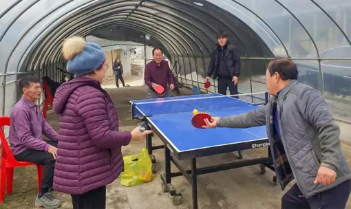 Hàn Quốc lấy lợi nhuận từ điện Mặt trời lo phúc lợi xã hội