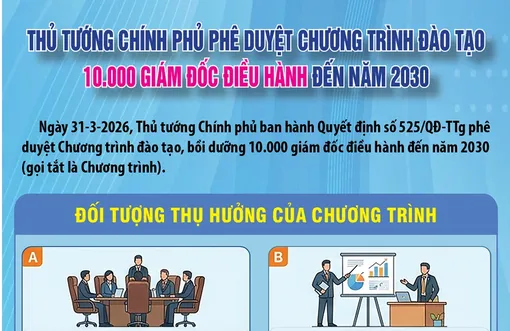 [INFOGRAPHICS] Thủ tướng Chính phủ phê duyệt Chương trình đào tạo 10.000 giám đốc điều hành đến năm 2030
