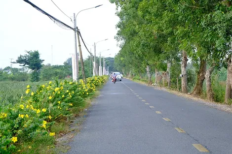 Cần Thơ phấn đấu xây dựng hoàn thành 9 xã nông thôn mới năm 2026