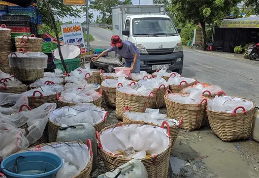 Dạo quanh thị trường ngày 17-4